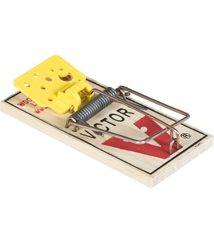 Amazon.com : Victor EZ Set Wooden Snap Trap - 12 Pack : Patio