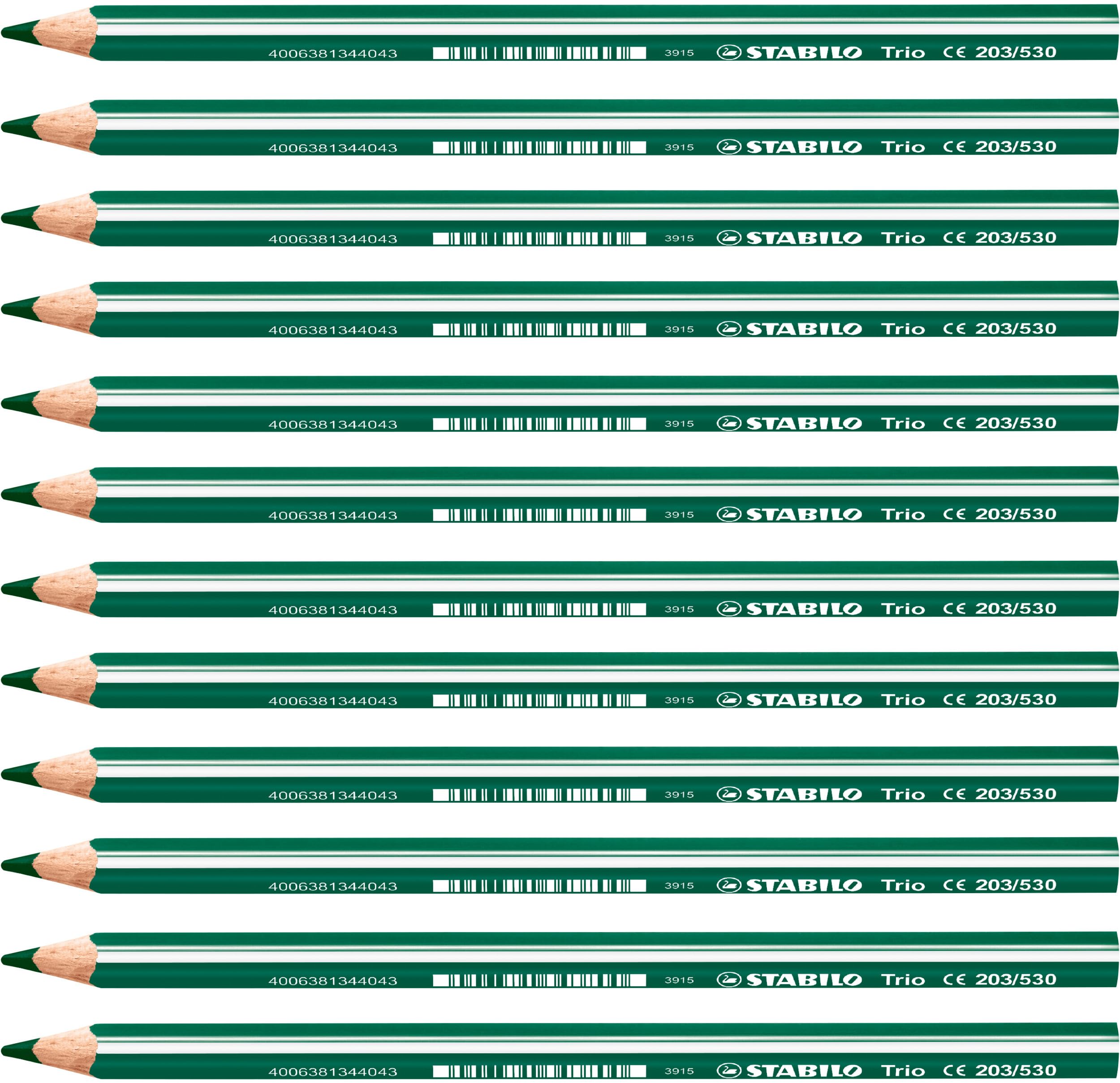 STABILO Colouring Pencil - Trio Thick, Green, Pack of 12