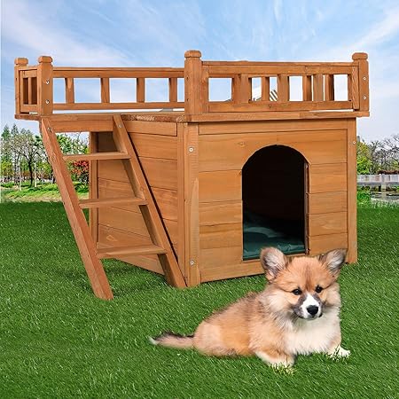 2 room dog house