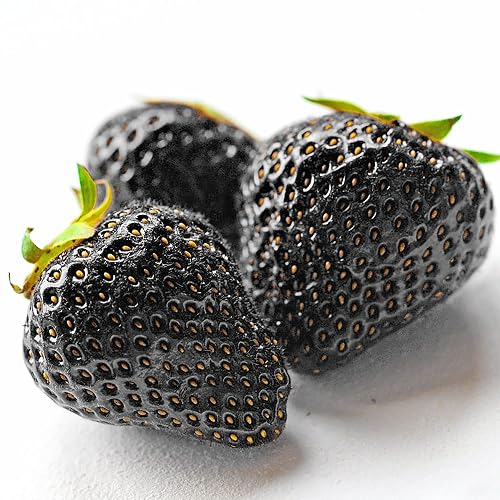 grow lights for indoor plants led Soltech Solutions- Grove LED Grow Light, Black