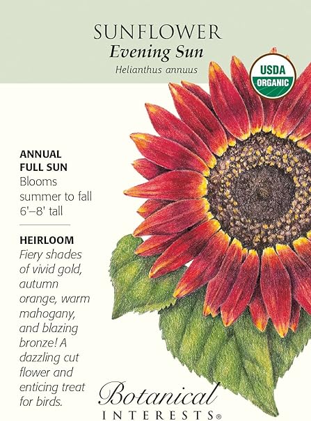 Sanhoc I Semi Della Confezione Domenica Sera 30 Semi Organic Amazon It Alimentari E Cura Della Casa