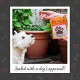 Pet Munchies Wild Salmon Dog Training Treats 50g Grain Free Real Meat view 5