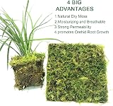 YUNSTK Natural Sphagnum Moss 5 Quarts Dried Moss for Plants Terrarium Orchid view 3