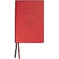 Legacy Standard Bible, Children's Edition - Ruby Red Faux Leather (LSB)