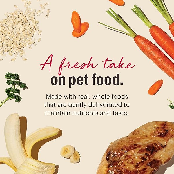 THE HONEST KITCHEN HUMAN GRADE WHOLEMADE™ DEHYDRATED DOG FOOD, WHOLE GRAIN CHICKEN, 2 LB BAG