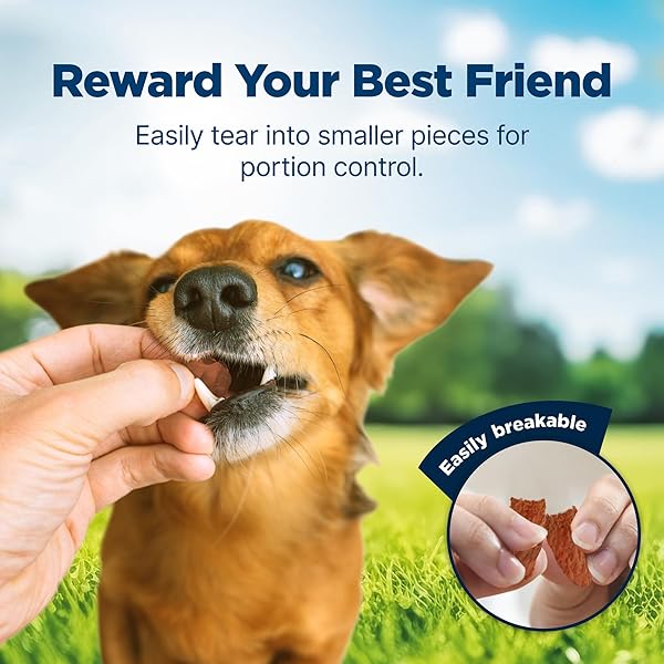 BLUE BUFFALO NUDGES JERKY BITES DOG TREATS, MADE IN THE USA WITH NATURAL INGREDIENTS, BITE-SIZED PIECES, CHICKEN, 5-OZ BAG