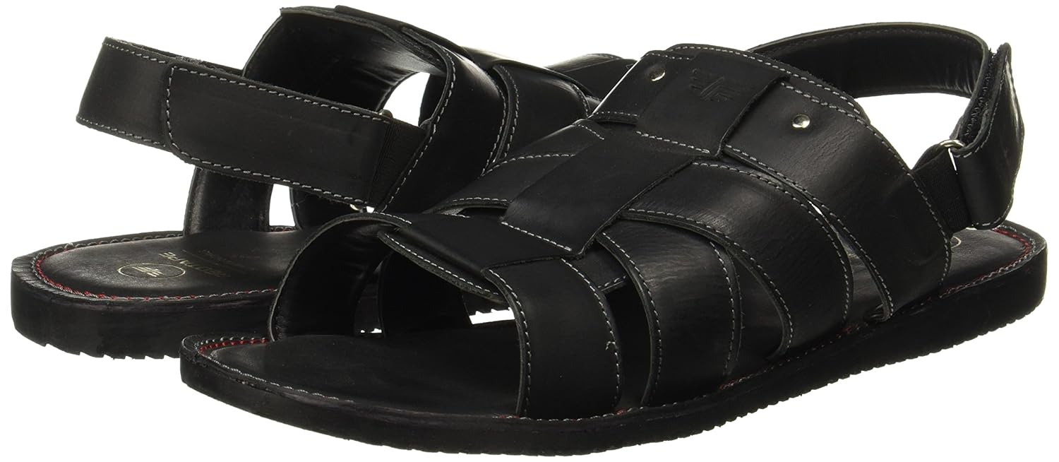 [Image: 81lSs9EOzsL._UL1500_.jpg]