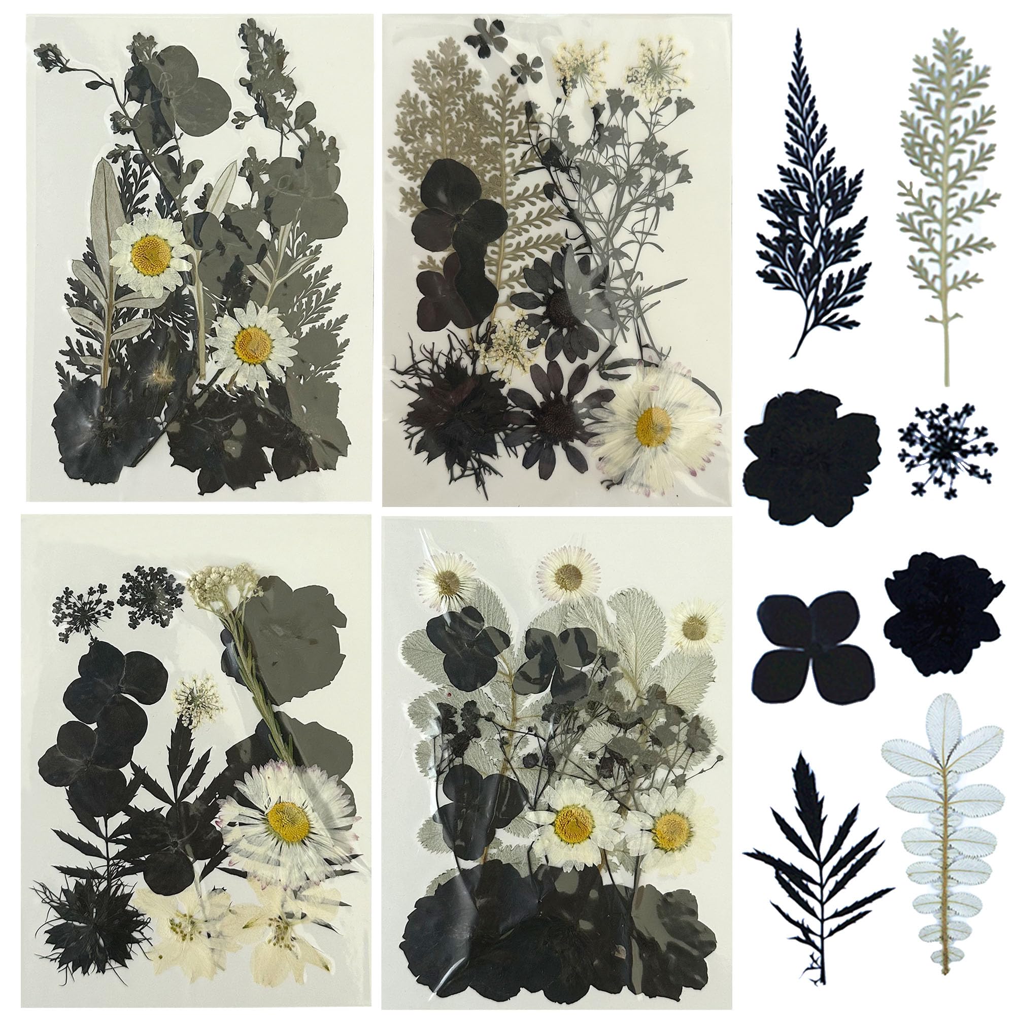 Woohome 4 Pack Dried Flowers for Resin Molds, 64 Pcs Real Natural Dried Pressed Flowers, Black and White Natural Dried Pressed Leaves for Pressed Leaf Art Craft DIY Embellishment Decorations