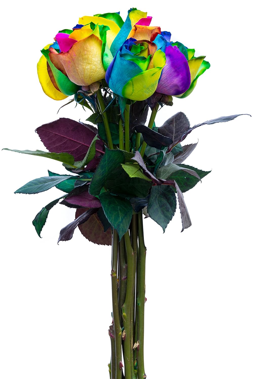 Amazon Com Fresh Rainbow Roses Bouquet By Flower Explosion 12 Stems Grocery Gourmet Food