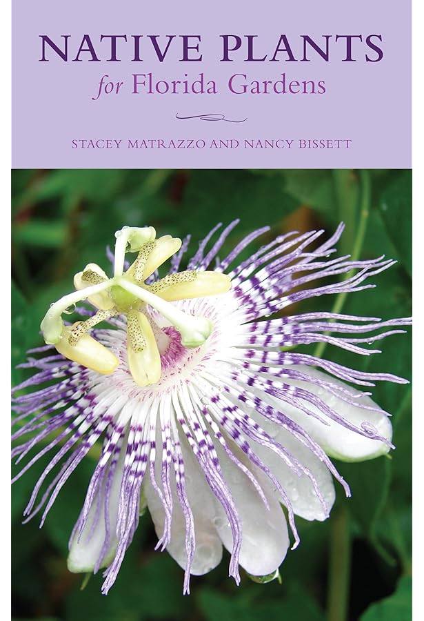 Native Florida Plants: Low Maintenance Landscaping and Gardening