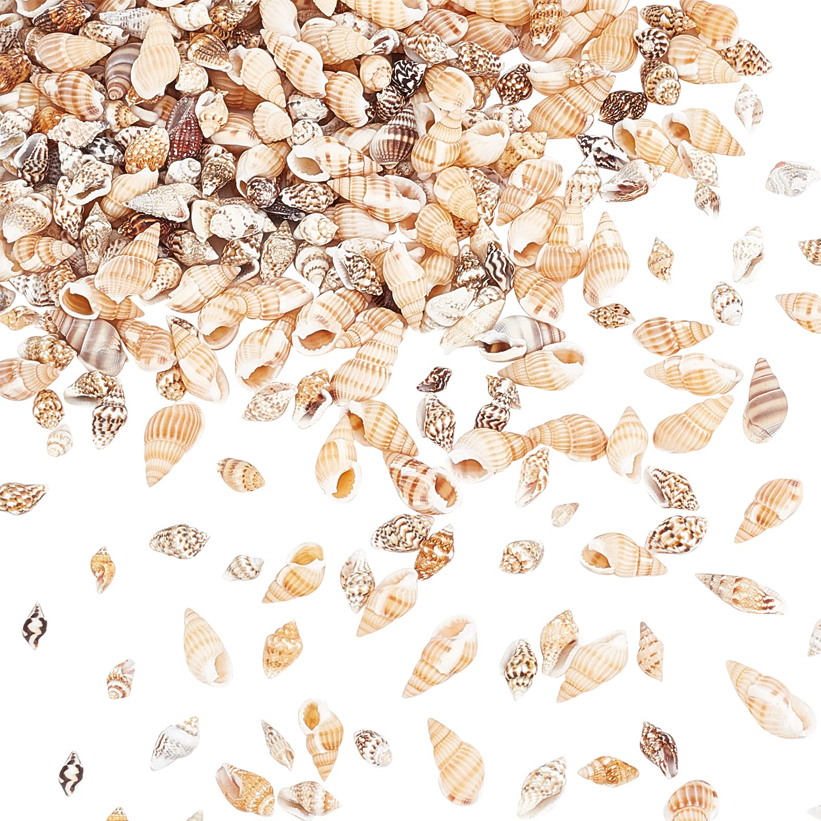 PH PandaHall Tiny Sea Shells 1~2cm Mini Sea Shells for Crafts Seashell Beads Spiral Seashells for Resin Fillers Candle Jewellery Making Beach Embellishments, No Hole, 140g