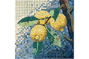 ALEA MOSAIC Adult Mosaic Art Kit: Craft Projects to Keep You Busy, Square 7inch (20cm) Lemon