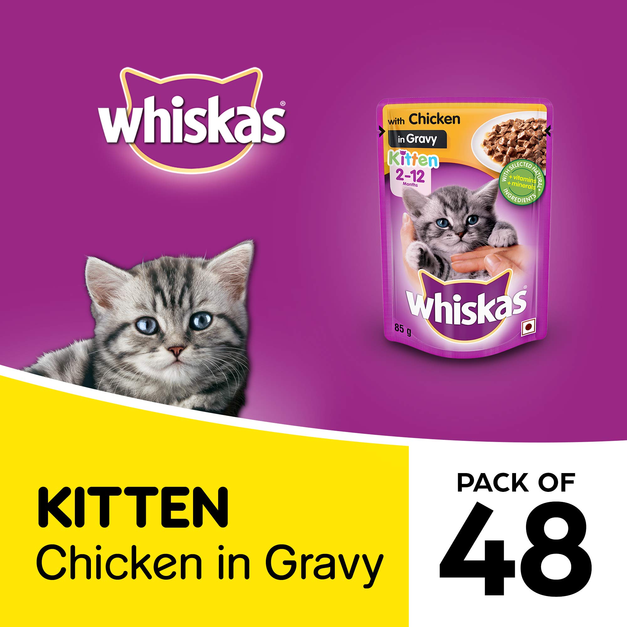 whiskas kitten food bulk