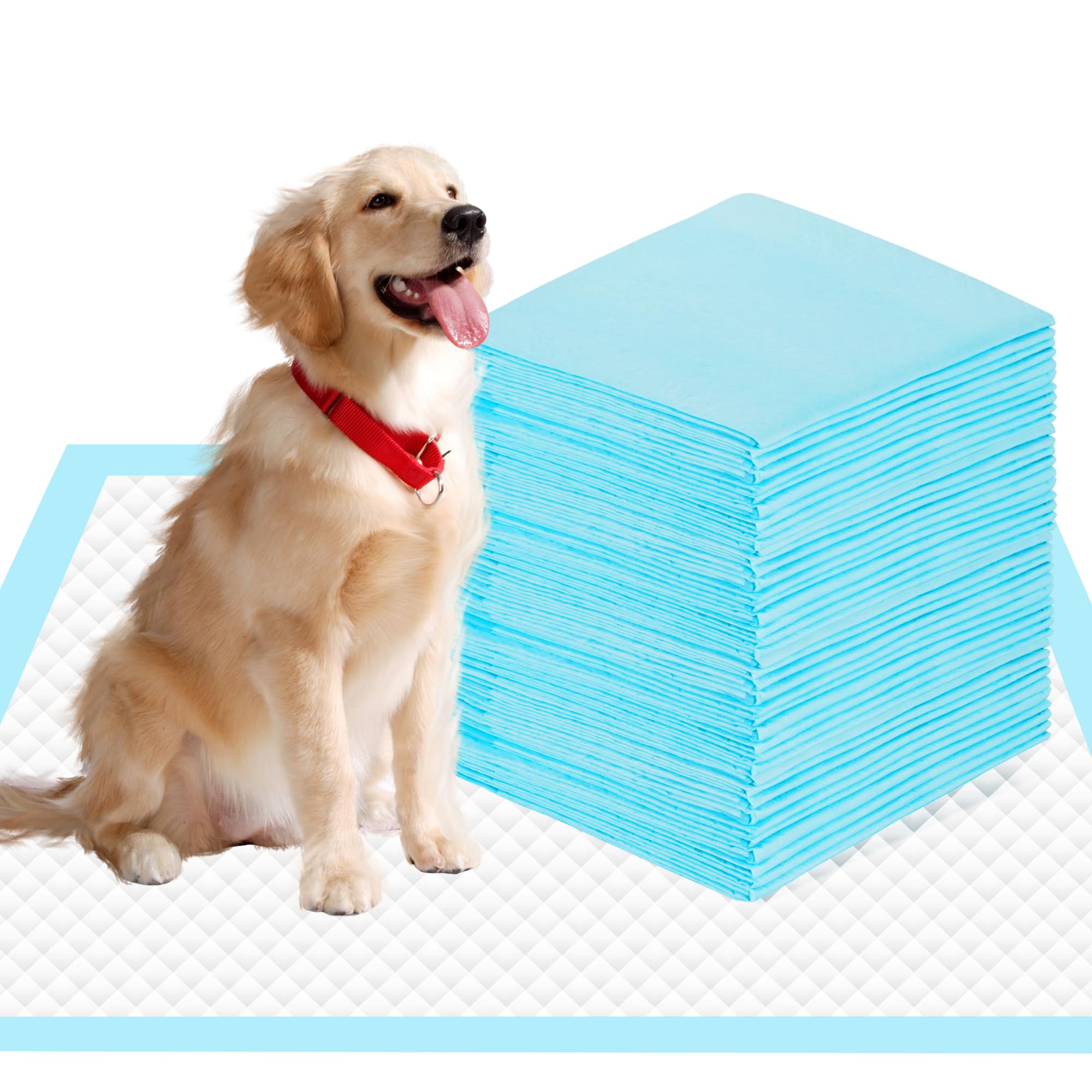 Photo 1 of SAP FRIENDLY 28"x34" Dog Pee Pads Extra Large, Super Absorbent Leakproof Quick Drying Pee Pads, Training Puppy Pads Disposable Pee Pads for Dogs - 10 Count