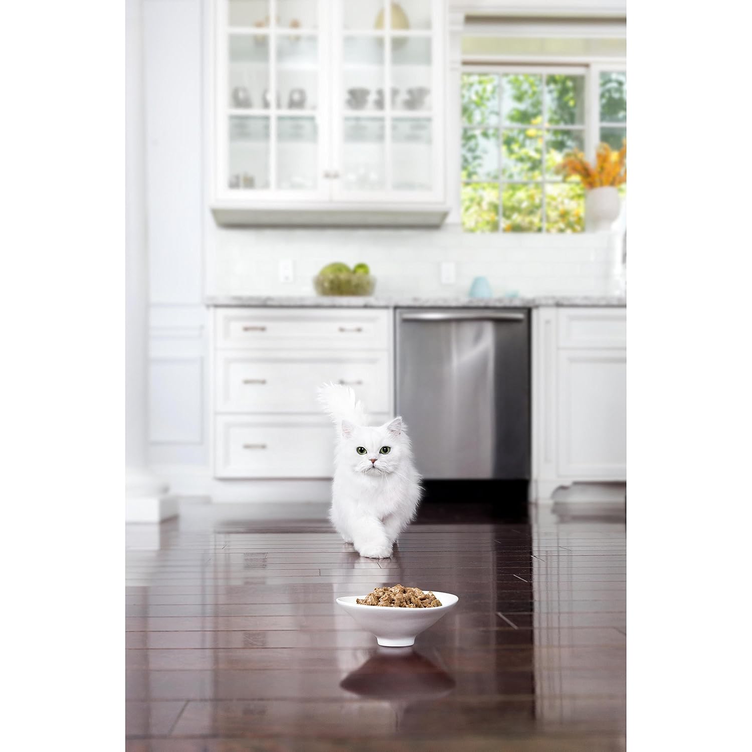 The Best Cat Food & Treats In 2021 (Dry & Wet): Loved By Cats & Recommended By Owners 8