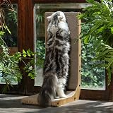 FUKUMARU Cat Scratcher 68 cm L Shape Wall Mounted Cardboard Pad with Ball Toy view 5