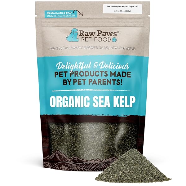 RAW PAWS ORGANIC KELP POWDER FOR DOGS &...