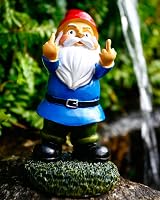 Estefanlo Funny Garden Gnomes Colorful Double Middle Finger Resin Figurine view 1