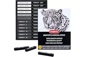 PANDAFLY Compressed Graphite Charcoal Sticks, 24 Pieces Black & White Vine Charcoal Sticks for Drawing, Sketching, Shading, Charcoal Drawing Set for Beginners & Pro Artists