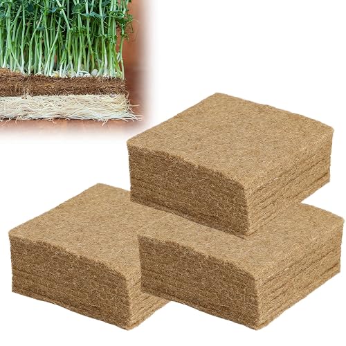 ANPHSIN 30 pcs Jute Grow Mat for Microgreens, Hydroponic Hemp Fiber Grow  Pads for Germination Trays, 5" X 5"Home Micro Plant Growing Kit for  Wheatgrass Sprouts and Organic Production in Dubai -