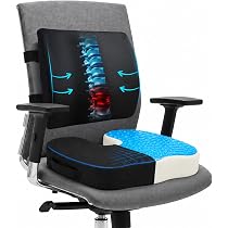 EcoNour Lumbar Support Pillow & Seat Cushion Back Support for