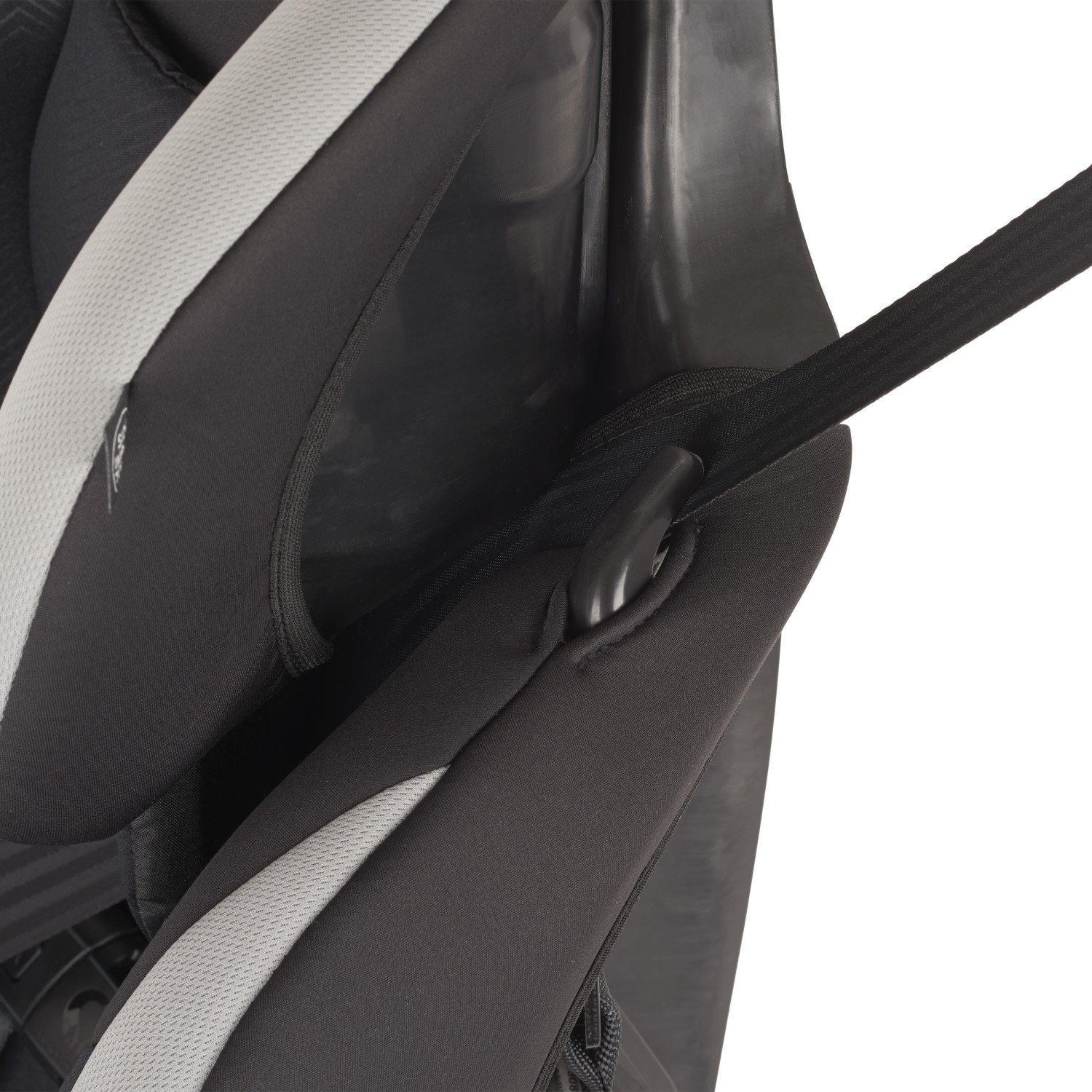 evenflo maestro harness