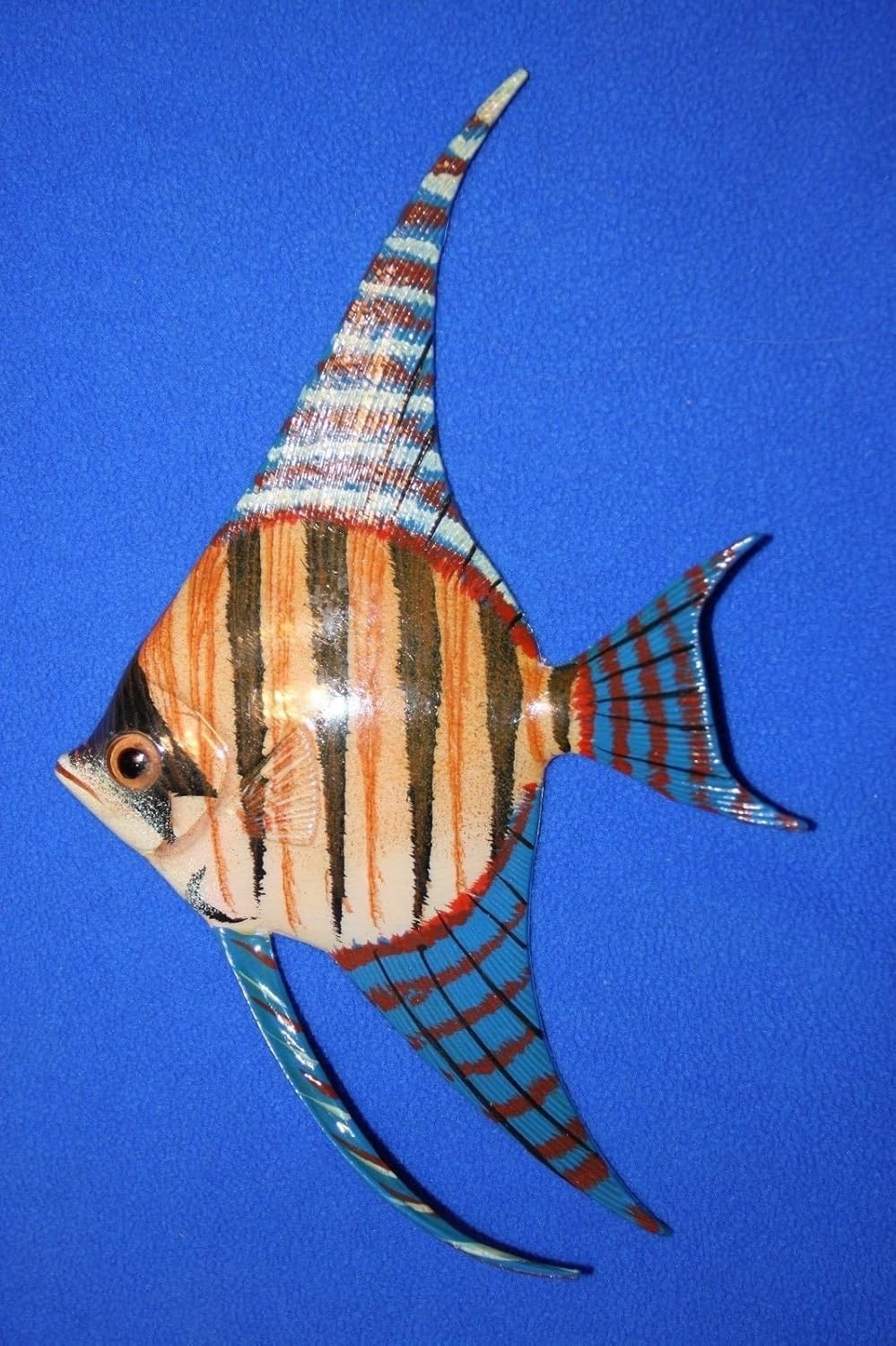 Poly Resin Pelicanカラフルな魚保育園壁アート 3 Salty 6インチ バンドル4魚 B07dpvp8hv D ウォールステッカー 熱販売