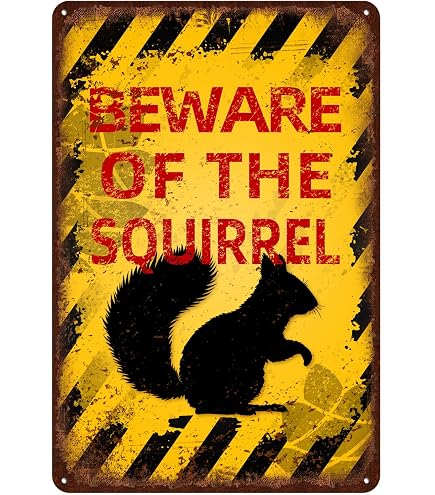 Vintage-Warnschild „This Property Is Protected By A Highly Trained Squirrel“ – 30,5x20,3 Cm, Metall, Für Garten & Haus