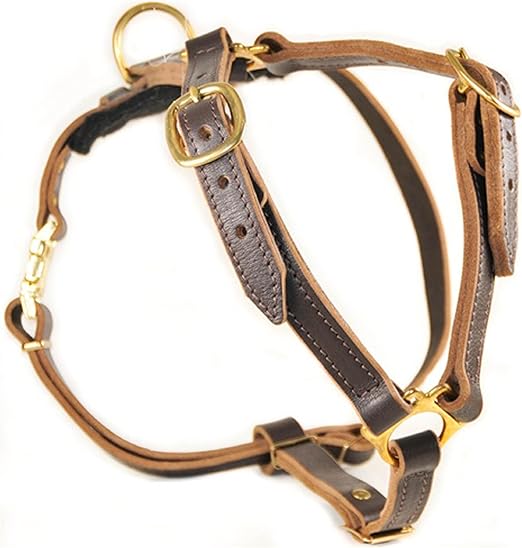 dean and tyler dog harness