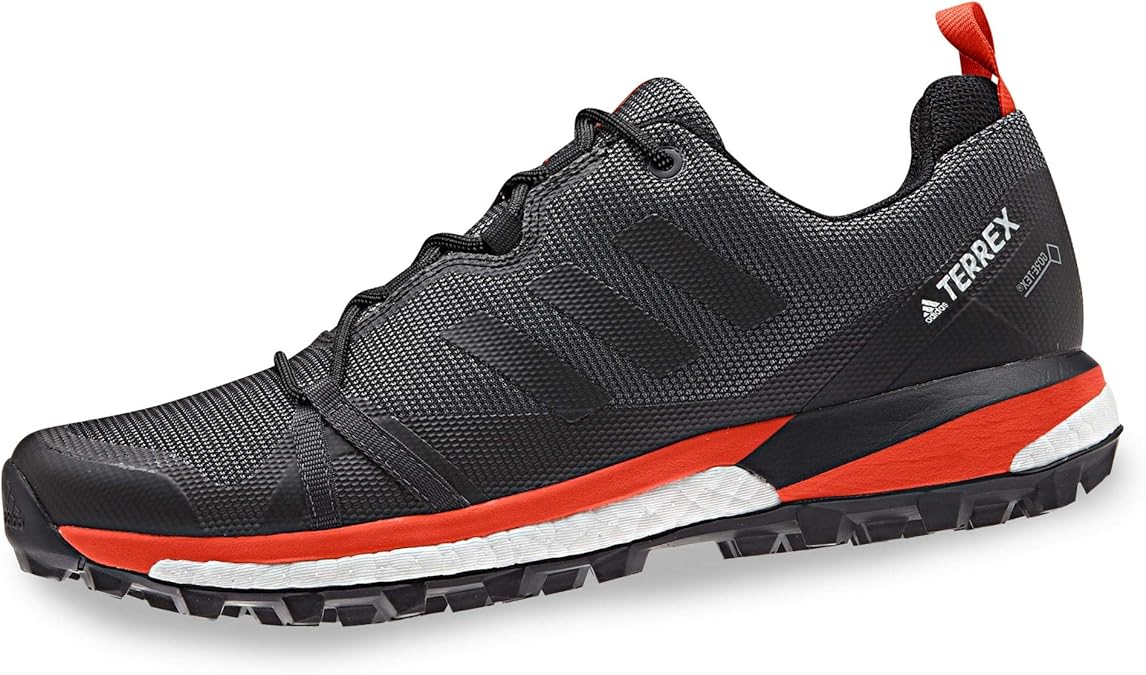 adidas Men's Terrex Skychaser Lt GTX Fitness Shoes: Amazon.co.uk: Shoes & Bags