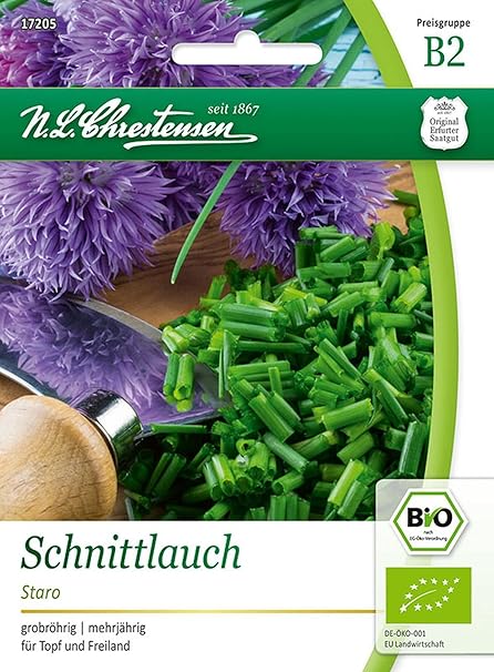 Bio Schnittlauch 'Staro (grob)' Saatgut Samen (grobröhrig, mehrjährig)