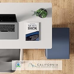 FLEXISPOT EN1 One-Piece Adjustable Height Desk 40 x