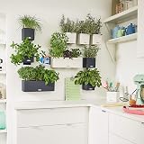 Lechuza Self Watering Plant Pot Green Wall Kit with Water Level Indicator view 4
