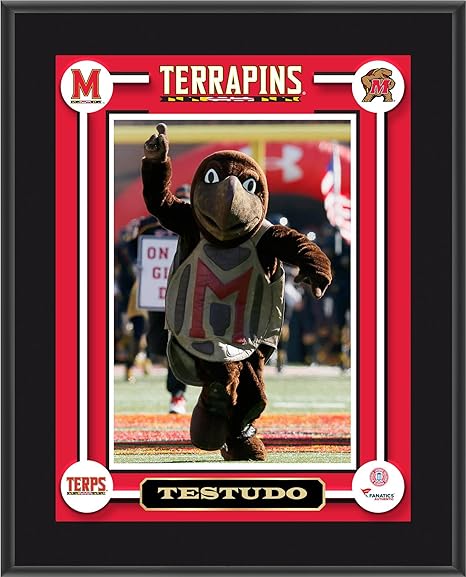 Maryland Terrapins Testudo Mascot Sublimated 105 X 13