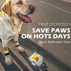 EXPAWLORER Anti Slip Dog Socks to Prevent Licking