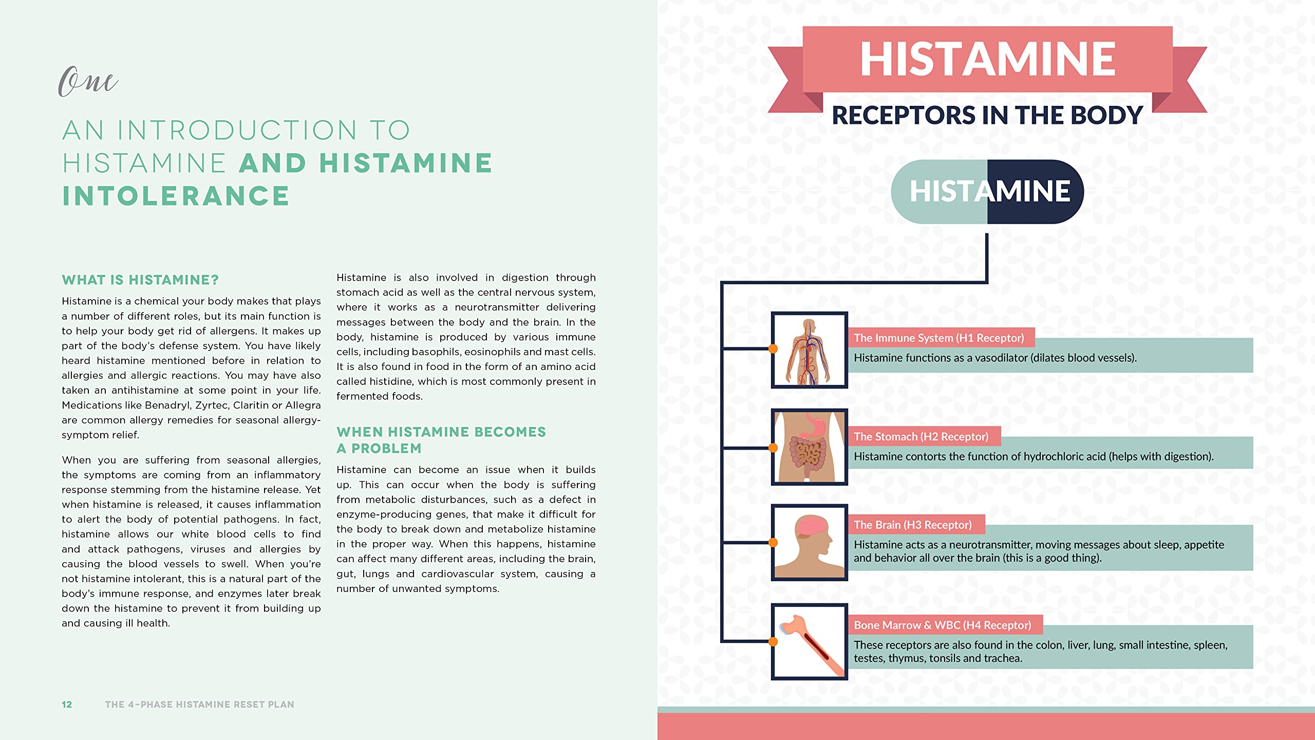 The 4-Phase Histamine Reset Plan: Getting to the Root of Migraines, Eczema, Vertigo, Allergies and More The 4-Phase Histamine Reset Plan: Getting to the Root of Migraines, Eczema, Vertigo, Allergies and More Paperback Kindle