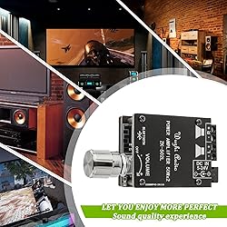 EPLZON 50W+50W Bluetooth Amplifier Board DC 5-24V