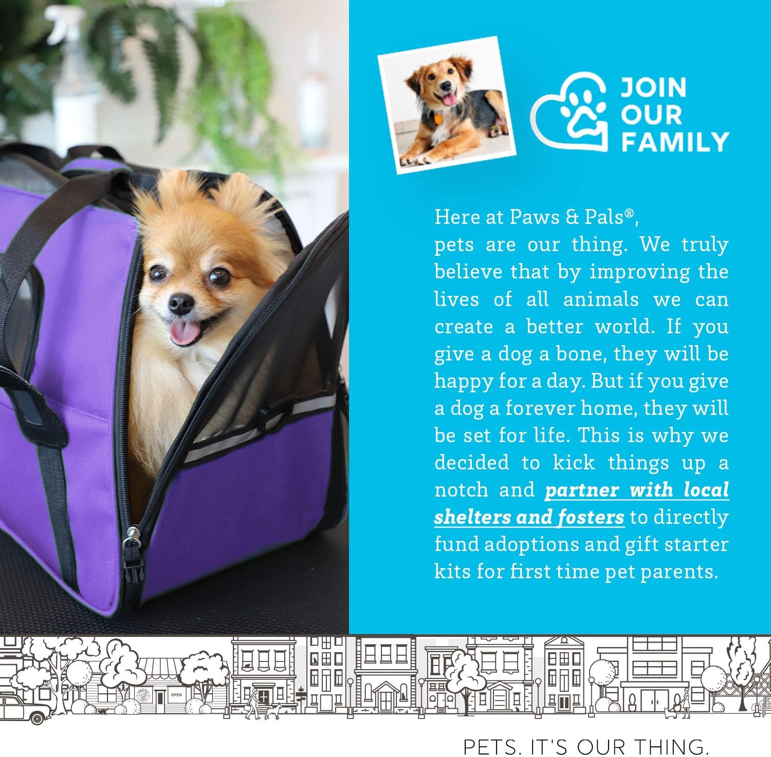 Paws & Pals Airline Approved Pet Carrier - Soft-Sided Carriers for Small Medium Cats and Dogs Air-Plane Travel On-Board Under Seat Carrying Bag with Fleece Bolster Bed for Kitten Cat Puppy Dog Taxi : Pet Supplies
