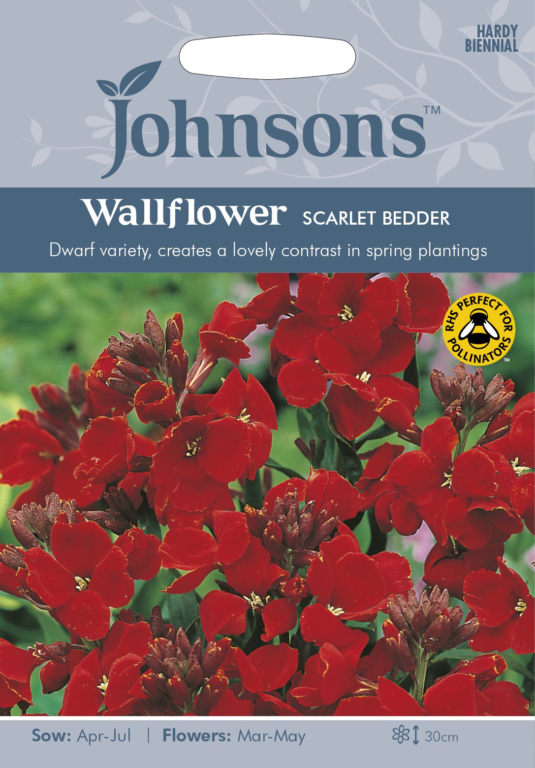 Johnsons 19265 Flower Seeds, WallFlower Scarlet Bedder, Red