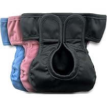 Amazon.com : Kitty Bum Bums Reusable Cat Diapers and Stud Pants to ...