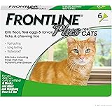 frontline gold amazon