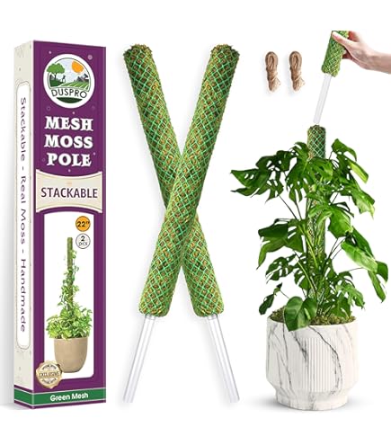 Amazon.com : SuperMoss (22225) Moss Pole / Plant Stake, Fresh