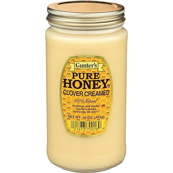 Amazon.com : Gunter's Clover Honey, 16 Oz : Grocery & Gourmet Food