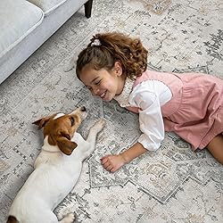 GENIMO 5X7 Area Rugs for Living Room, Machine