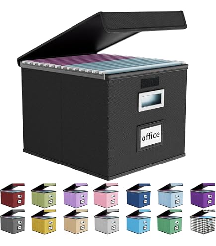 Amazon.com: Leitz Premium archive box with flap, 10 pieces, 100