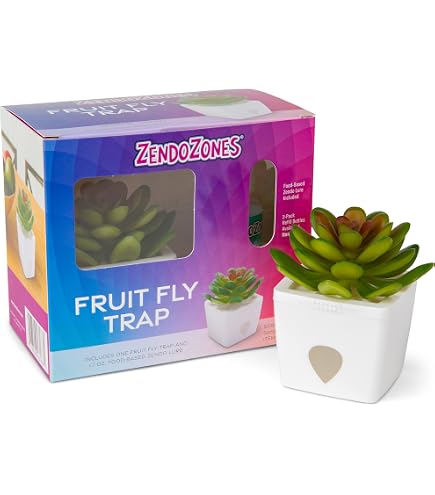 Amazon.com : ZendoZones Succulent Fruit Fly Trap – Light Green