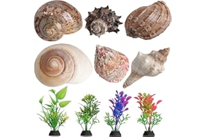 OSOPOLA 6 PCS Hermit Crab Shells Medium Large XLarge Growth Turbo Seashells Openning Size 1''-2'' Pet Supplies Conch Habitat Decor with 4 Artificial Plants Aquarium Supplies FD03