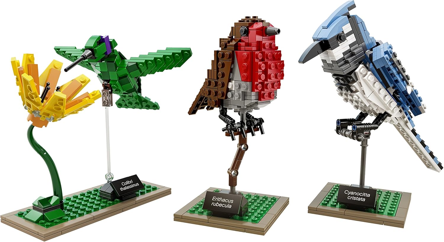 Lego 21301 Clearance
