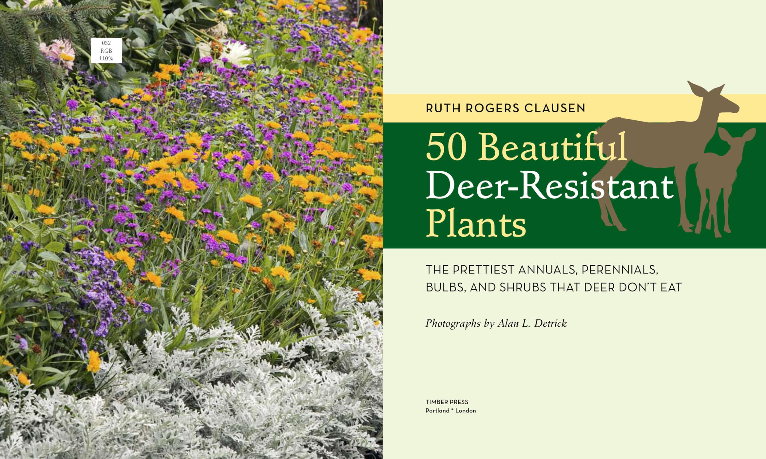 Mua 50 Beautiful DeerResistant Plants The Prettiest Annuals