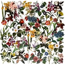 Amazon.com: Vintage Flowers Plants Stickers - Doraking 40PCS Peel ...
